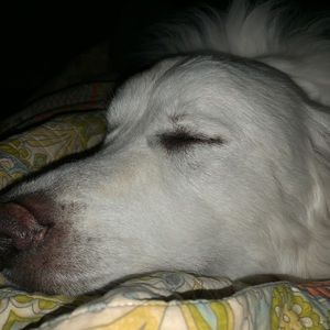 Meet your Posher, Cami